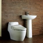 Biobidet