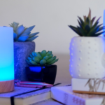 Friendship Lamps