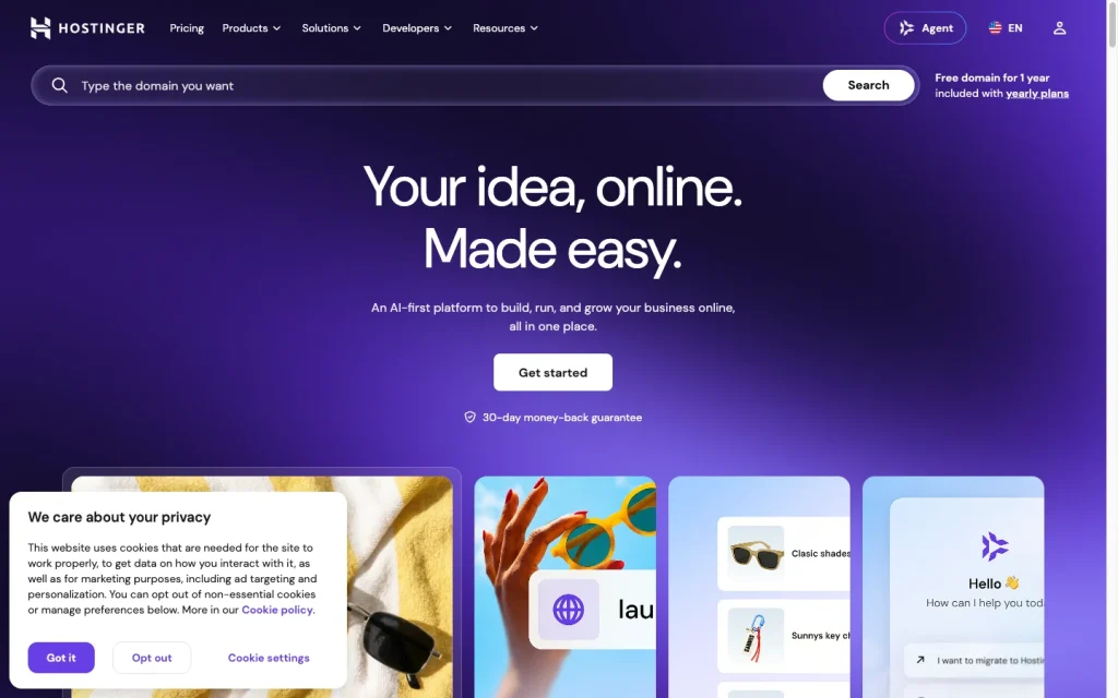 Hostinger product image