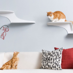 The Refined Feline